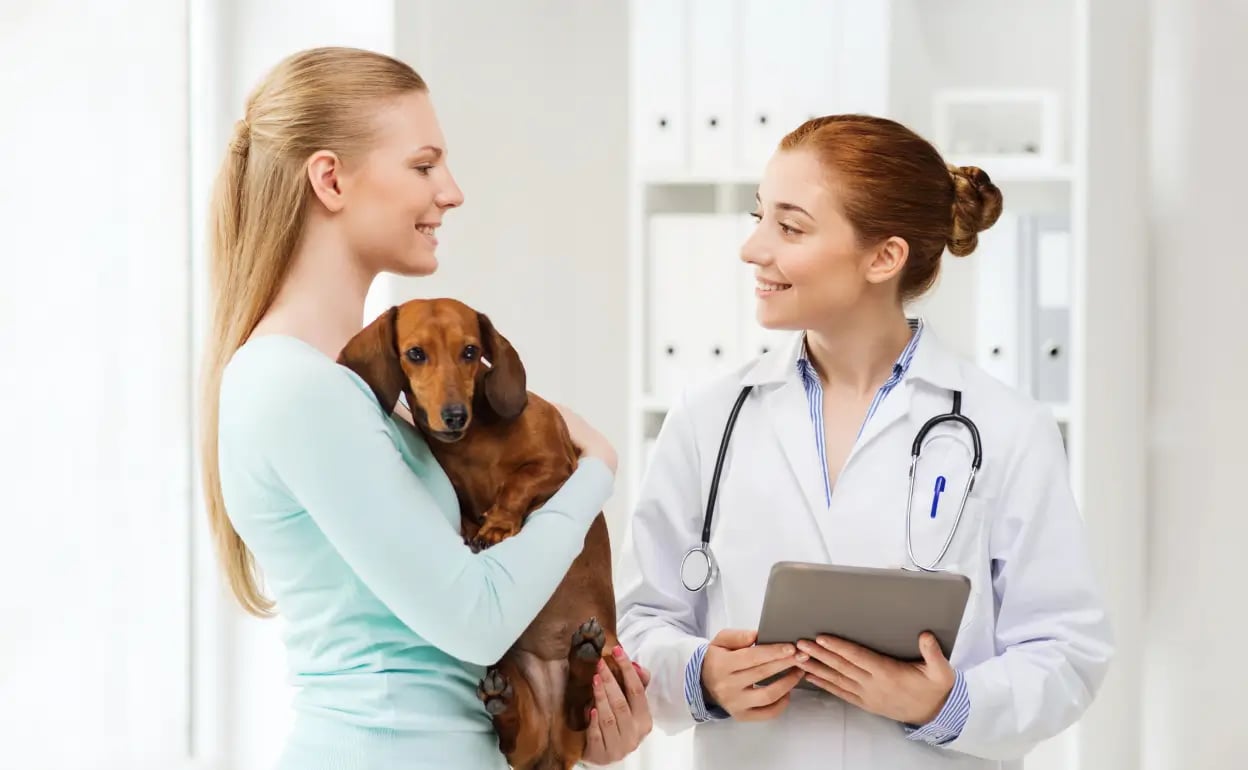 vet